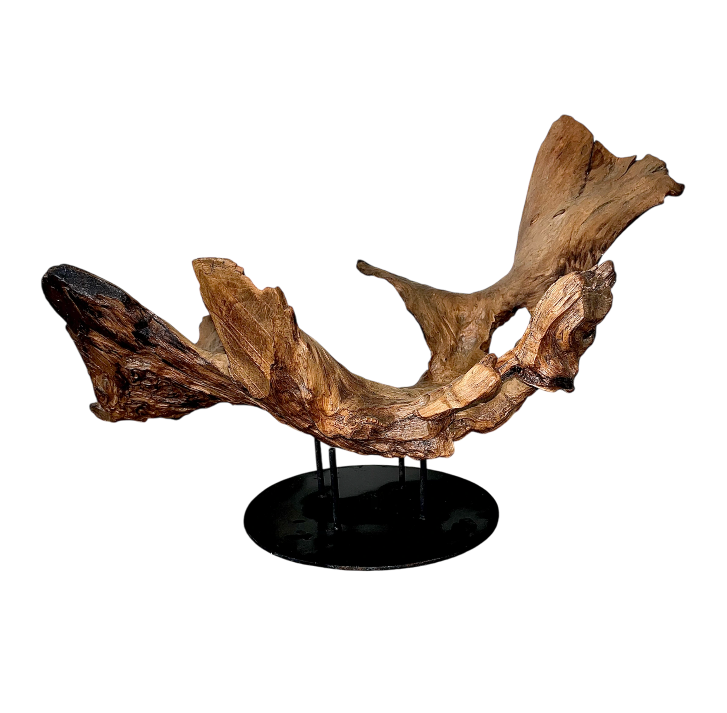 Natural Art Decoration